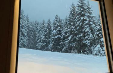 Forest house - Foto 9