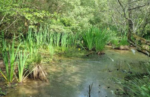 Superbe maison finlandaise en bois - Foto 39
