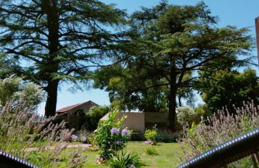 A l Aube du Midi - Foto 22