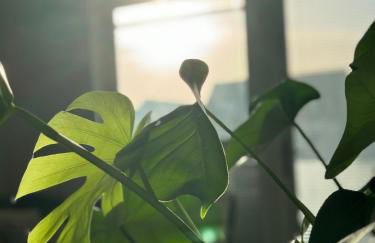 Cosy & Homely Stay in Maidenhead - Foto 19