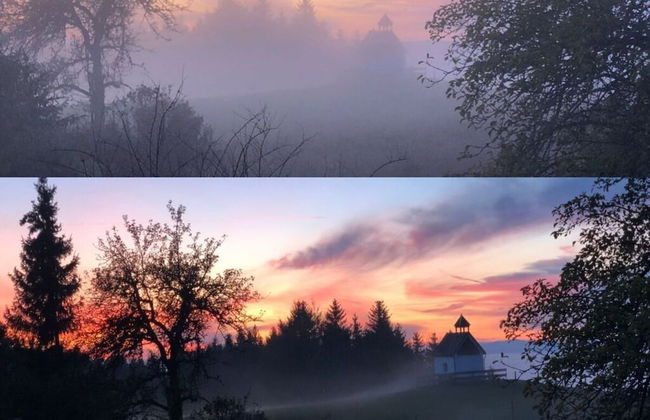 Apartment in the Waxenegg Country House - Photo 14