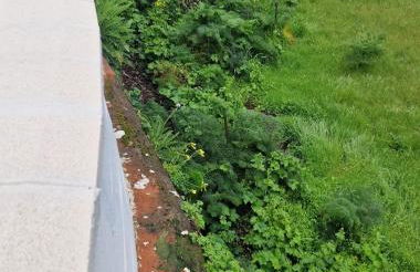 Villa Rita - Photo 57