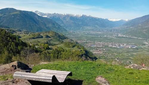 FeWo Passo-Palade - Photo 3