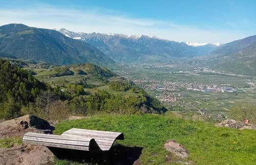 FeWo Passo-Palade - Foto 3