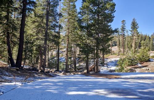 St Anton Wooded View 1-Bedroom Condos with Complimentary Hot Drinks - Photo 7