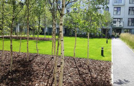 Wilanow Apartment - Foto 28