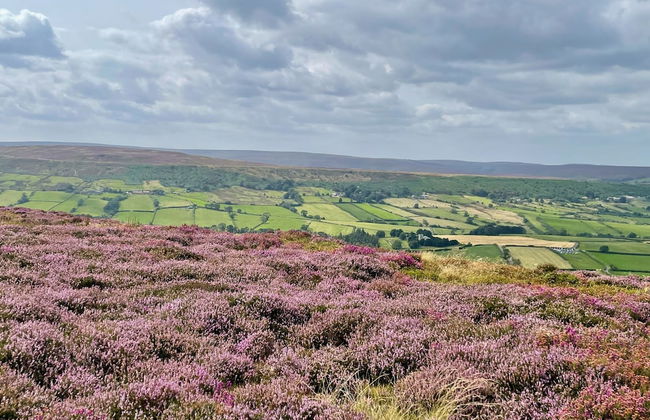 Church House Farm - Foto 43