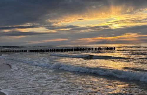 Apartament Krab AKTENA Shellter Rogowo - Foto 20