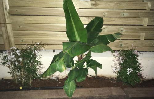 oasis del toyo golf&beach private garden wifi - Foto 8