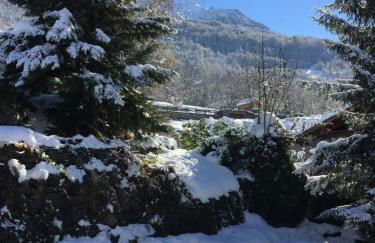 Le petit Saint Bernard - Photo 32