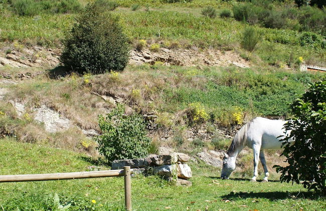 La Costa de Mollo - Foto 65