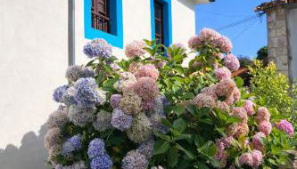 La casina de Barro - Foto 2