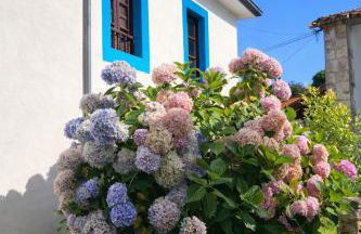 La casina de Barro - Foto 2