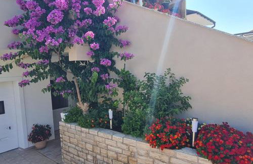 Apartman "Flower Garden" - Foto 8
