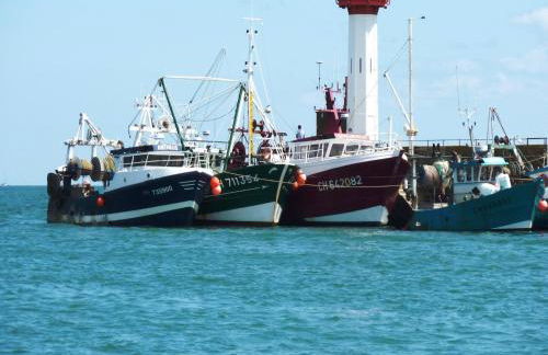Family Stay near Utah Beach - Foto 23