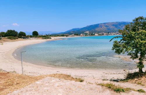 SeaSight Living Apartment - Photo 33