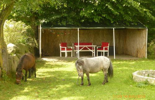 Ferienhof Lorenzen - Foto 19