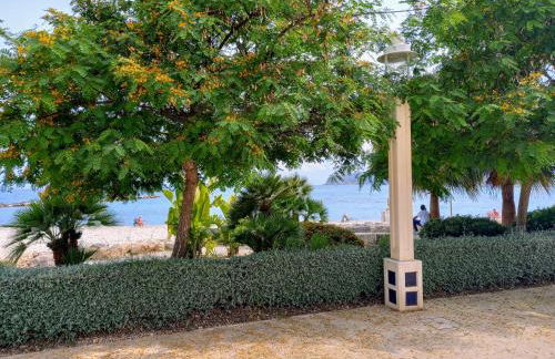 Altea Olivos G - Foto 37