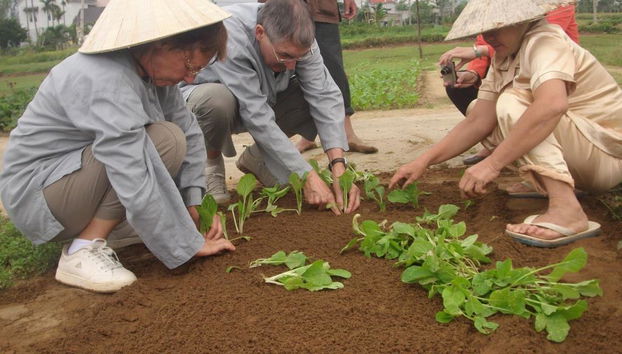 Aldea de vegetales Tra Que desde la ciudad de Danang - Tour de día completo - Foto 4