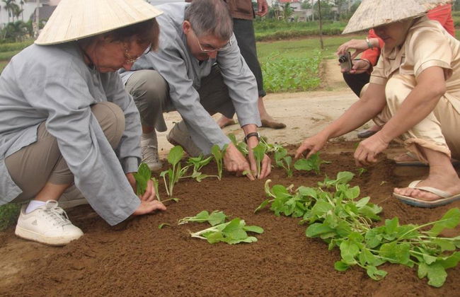 Aldea de vegetales Tra Que desde la ciudad de Danang - Tour de día completo - Foto 4