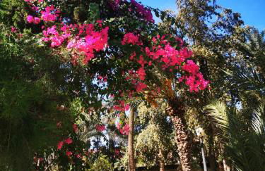 Costa de Verano Apartment with swimming pool in the center of Torrevieja - Foto 55