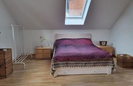 Nature & Local Transport - Foto 7