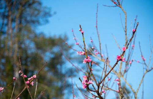 Galwad y Môr - Foto 16