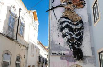 Villa Graça -Hostels and Apartments - Foto 57