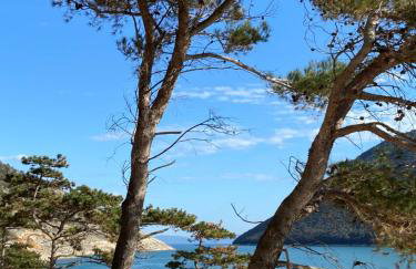 Apartment Lucie - Foto 49