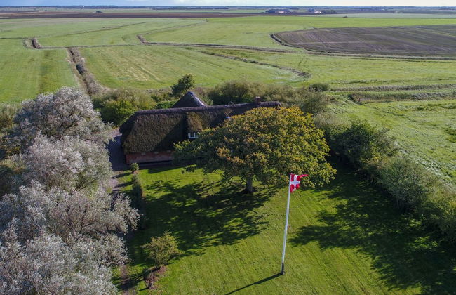 "Knut" - 10km from the sea - Foto 6