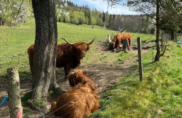 Domek na Skarpie - Foto 21