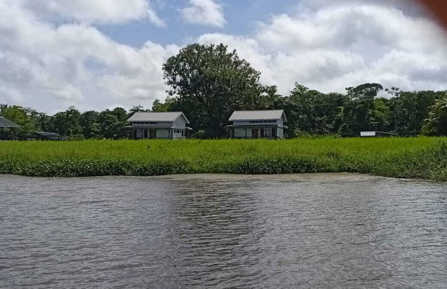 Koffiemama Tree B&B - Photo 29