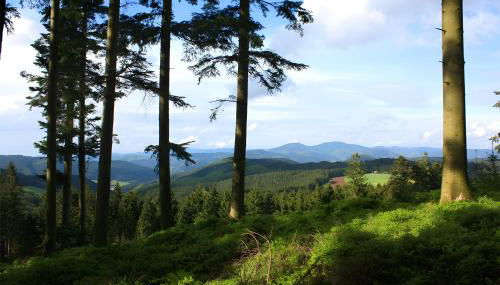 Schlosshof - Der Urlaubsbauernhof - Foto 5