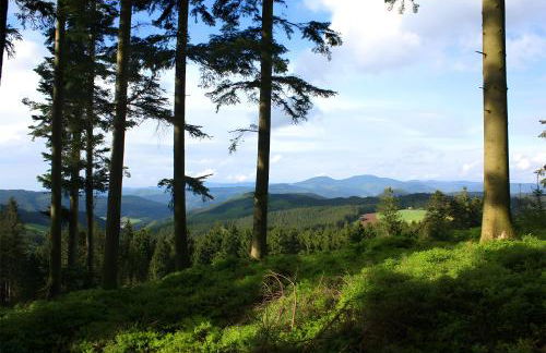 Schlosshof - Der Urlaubsbauernhof - Foto 5
