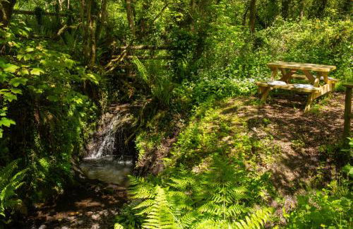 Fiddlers Green Log Cabin Tenby - Foto 17