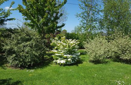 Gîte d'Anne et Ulysse - Foto 6