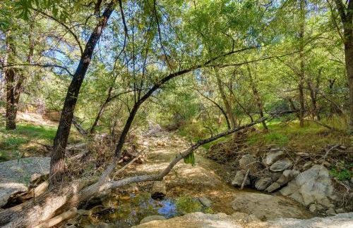 1 Mi to Whiskey Row Home with Fire Pit and Deck - Foto 30