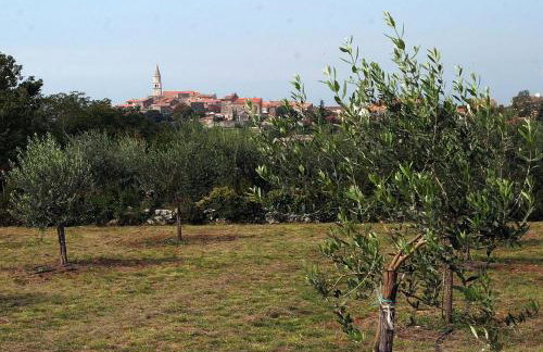 House Kisic - Photo 30