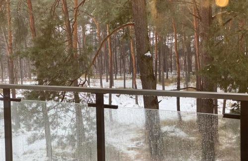 Family & Business Sauna Apartments No15 Leśny nad Zalewem Cedzyna Unikat - 3 Bedroom with Private Sauna, Bath with Hydromassage, Terrace, Garage, Catering Options - Foto 74