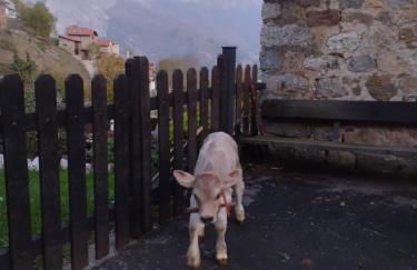 Casa Rural el Enebral en Potes Picos de Euopa - Foto 27