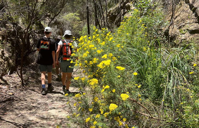 Blue Mountains Off-Roading Tour - Photo 8