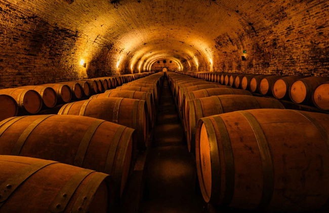 Tour por la Viña Cousiño Macul y el Templo Bahaí - Foto 9