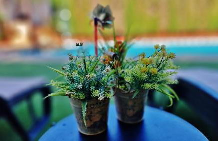 Velez Nazari Cortijo Azud - Foto 11