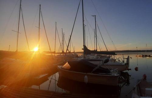 Domek Franianiesulice - Foto 48