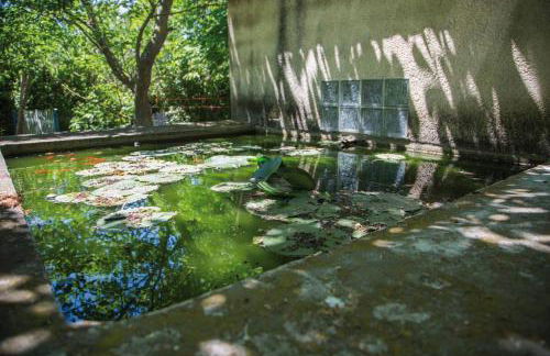 Authentique mas provençal Gémenos - Foto 41