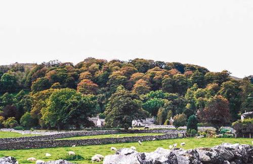 Old Hall Cottage - Foto 12