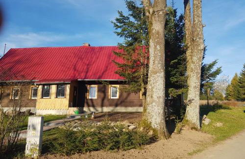 Górska Chata Lasówka - Foto 11