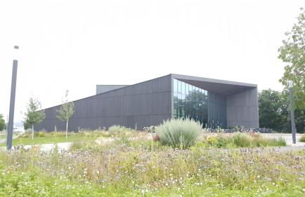 Tauberperle - Photo 12