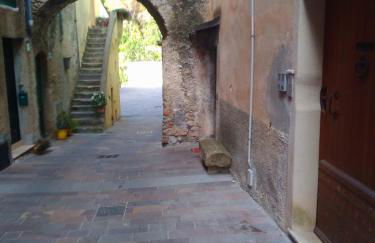 u' caruggiu de cisan - Foto 1