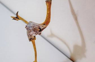 La maison du boulevard - Foto 32